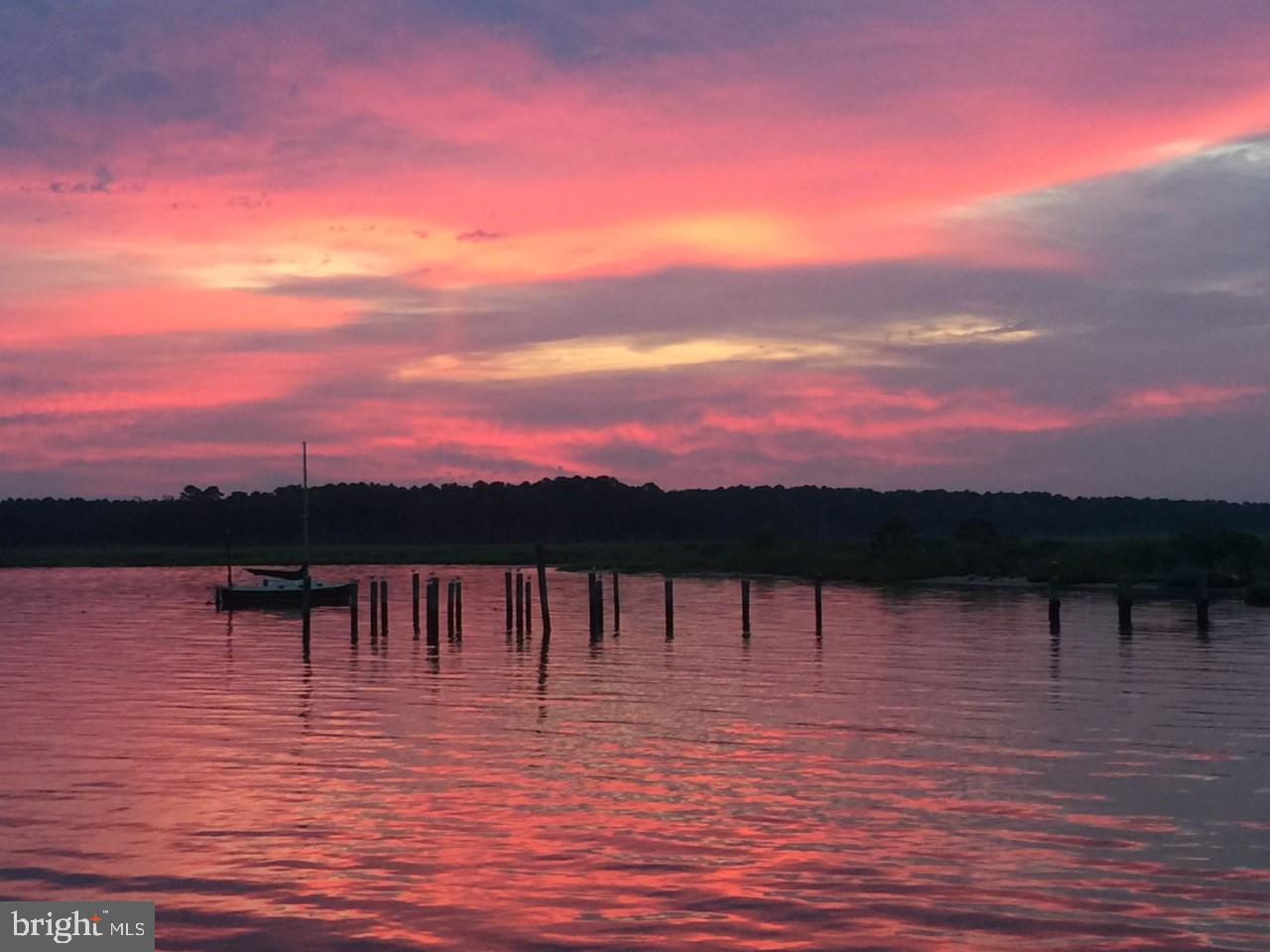 4725 Tyaskin Road Tyaskin, MD 21865 - Photo 54 of 67 Sunrise from the dock view