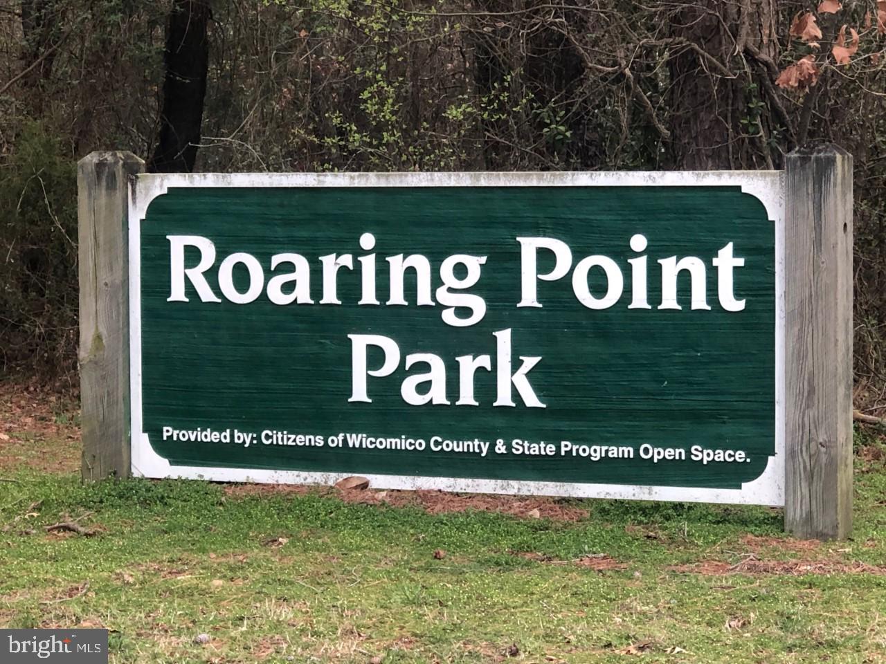 4725 Tyaskin Road Tyaskin, MD 21865 - Photo 56 of 67