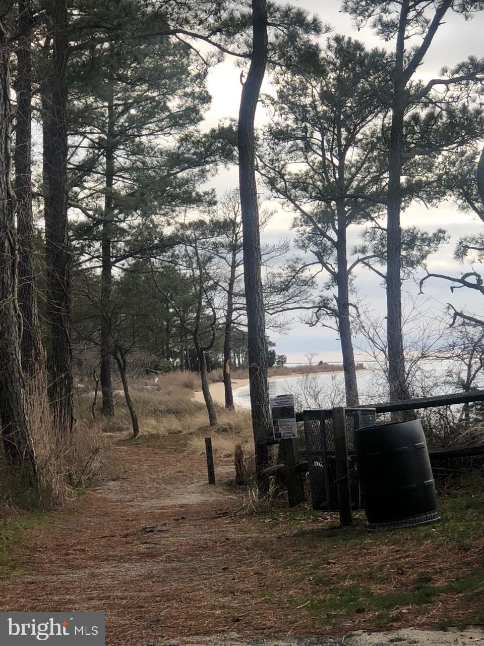 4725 Tyaskin Road Tyaskin, MD 21865 - Photo 57 of 67 Roaring Point Beach nearby