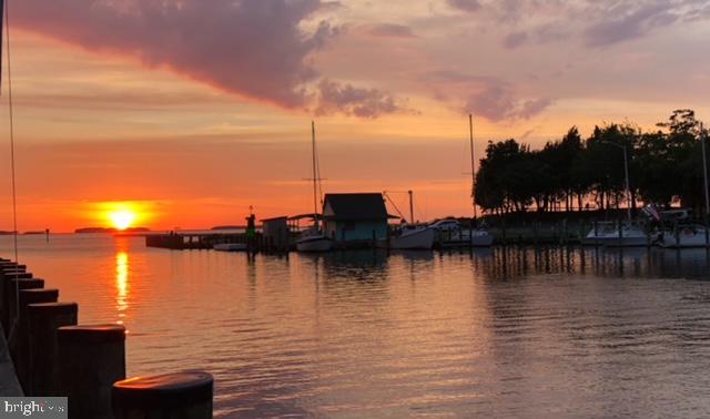 4725 Tyaskin Road Tyaskin, MD 21865 - Photo 65 of 67 Sunset at Cedar Hill