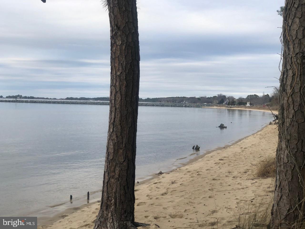 4725 Tyaskin Road Tyaskin, MD 21865 - Photo 67 of 67 Cove Road Beach nearby