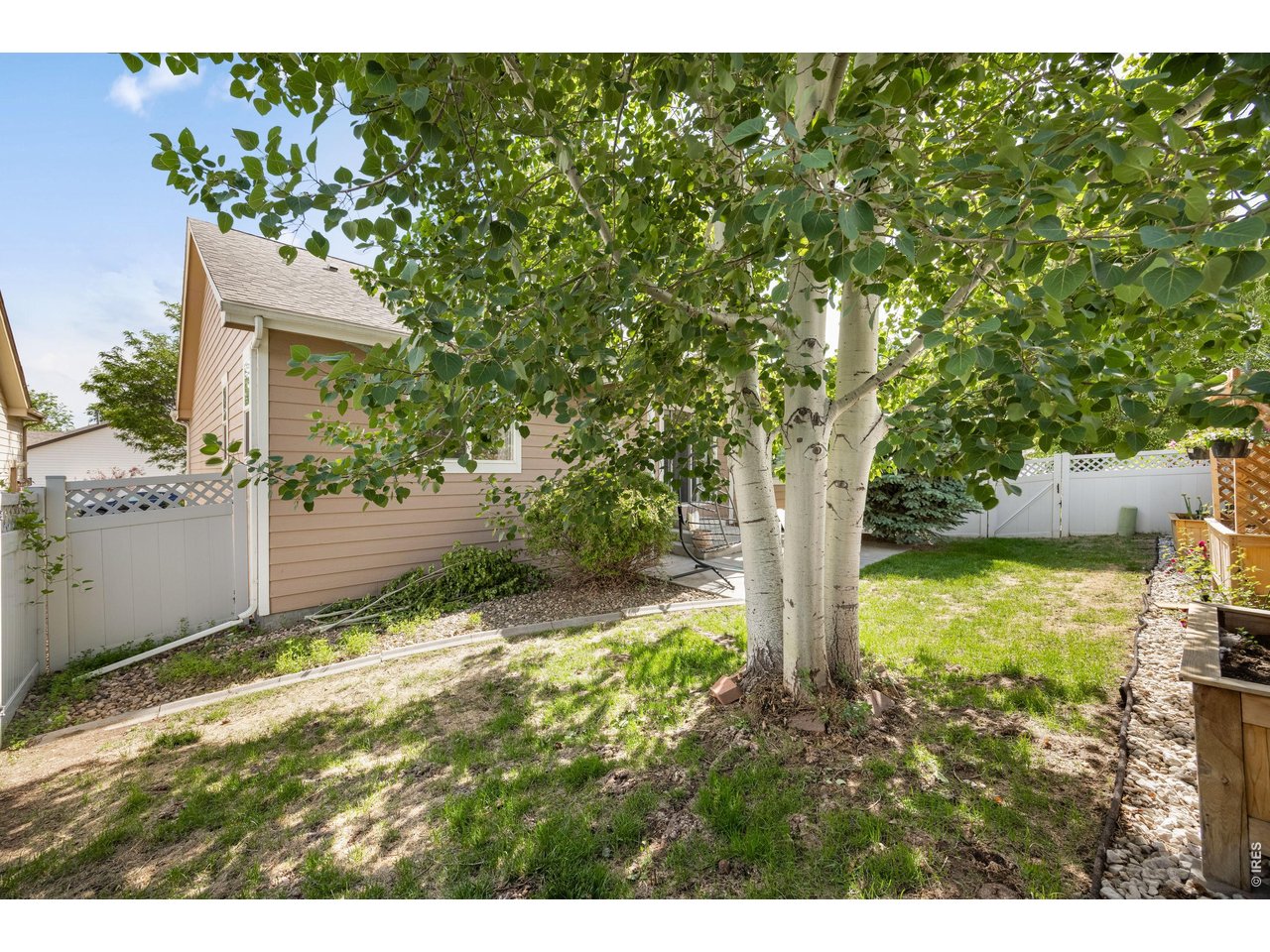 148 Beacon Way Windsor, CO 80550 - Photo 34 of 36 Spacious backyard with mature trees, lawn area, and low maintenance landscaping.