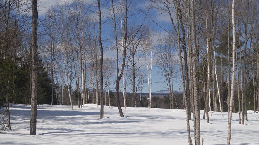 Lot 49 Mercer Road New Sharon, ME 04955 - Photo 10 of 12 This is a very peaceful spot for...