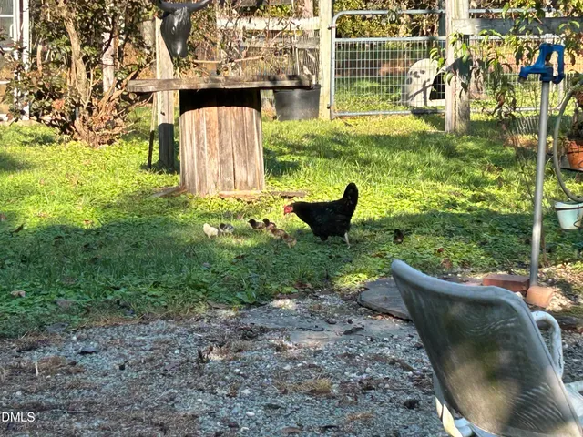 $295,000 | 153 Ninovan Place, Rougemont, NC 27572