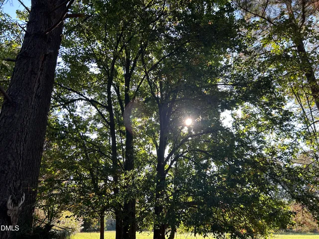 $295,000 | 153 Ninovan Place, Rougemont, NC 27572