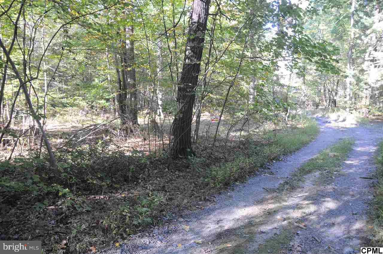 Whitson Rd Whitson Road Gardners, PA 17324 - Photo 3 of 4 Gallery Image 3