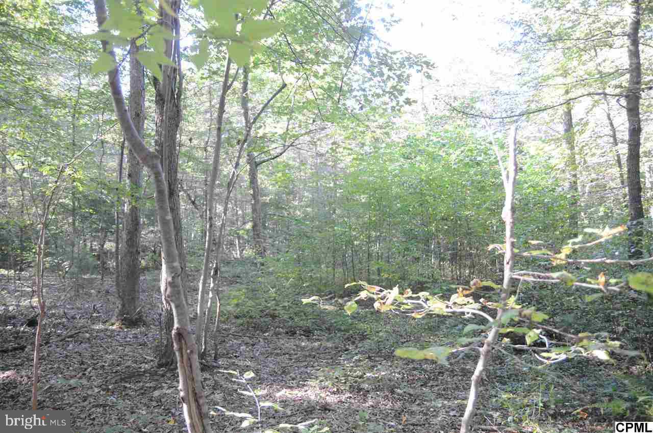 Whitson Rd Whitson Road Gardners, PA 17324 - Photo 4 of 4 Gallery Image 4
