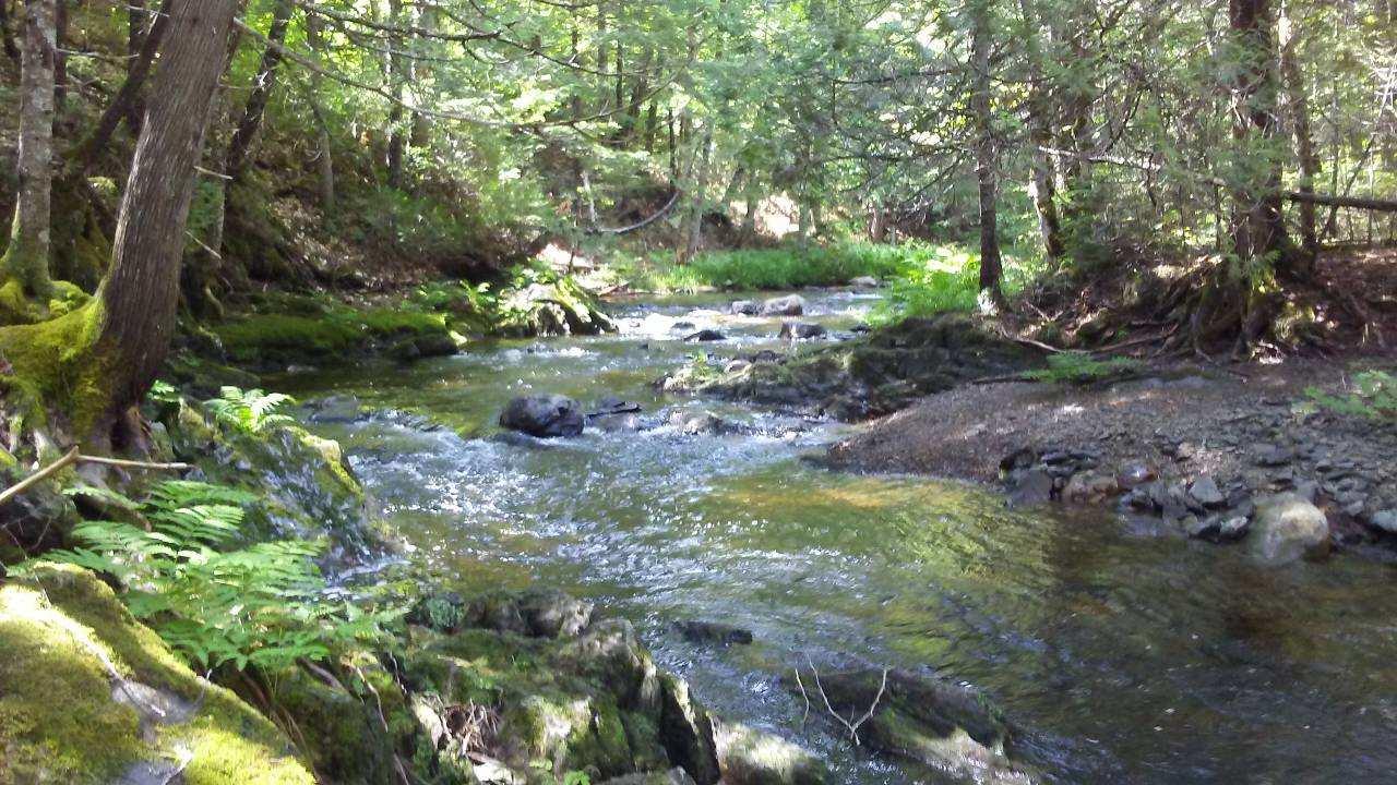 1661 Ludlow Road Houlton, ME 04730 - Photo 22 of 63 IMG_0192