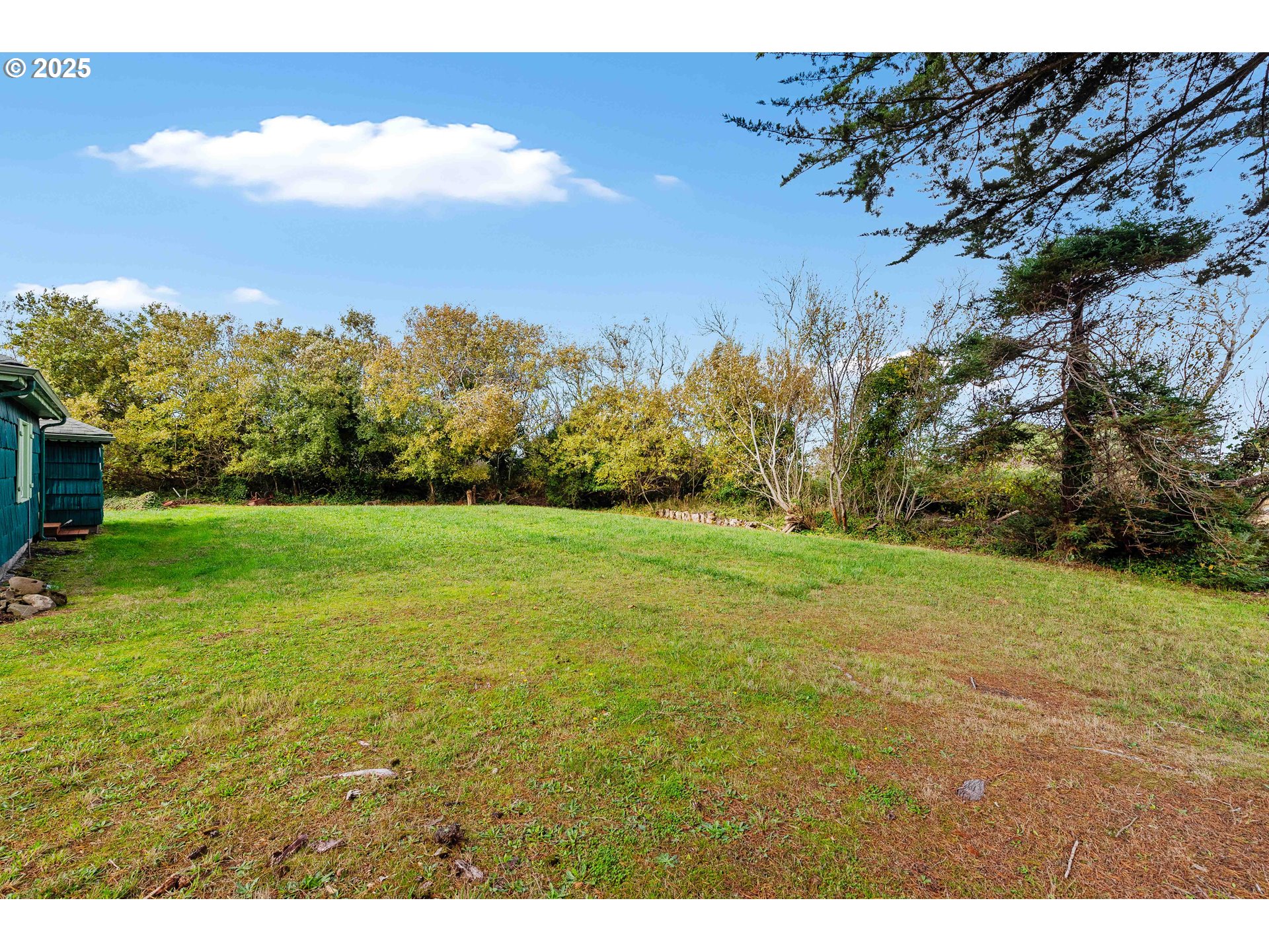 54568 Beach Loop Road Bandon, OR 97411 - Photo 15 of 38 a view of a yard with an trees
