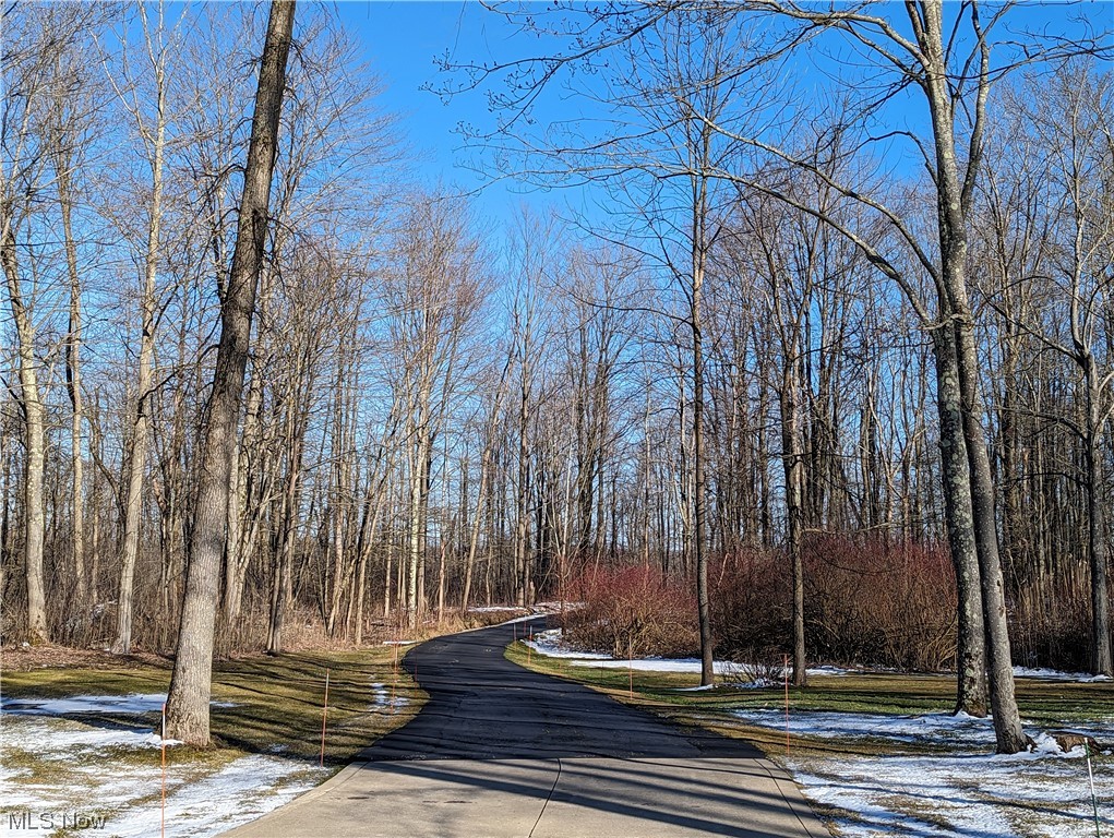 10450 Kile Road Chardon, OH 44024 - Photo 40 of 49 Gallery Image 40