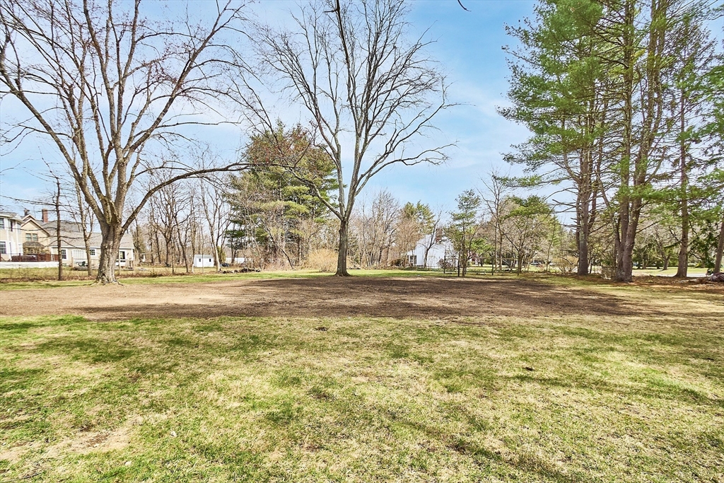 551 Barretts Mill Road Concord, MA 01742 - Photo 28 of 36 a view of road with large trees