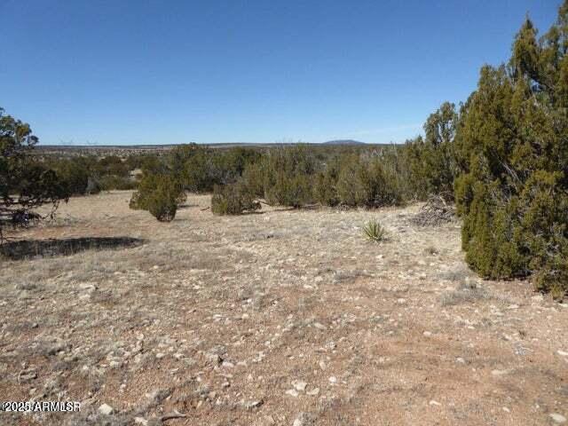 13 T14n R16e:e2 Nw4 Se4 Heber, AZ 85928 - Photo 2 of 3 2