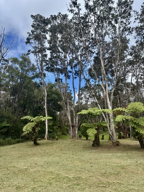 3 Haunani Road Volcano, HI 96785 - Photo 6 of 27 Gallery Image 6