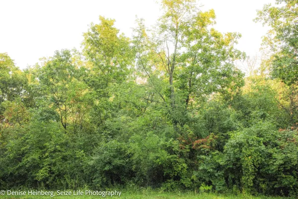 $68,900 | 802 Echo (lot 23) Trail, Marengo, IL 60152
