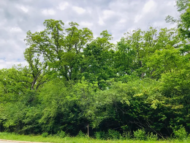 a backyard of a house with lots of green space
