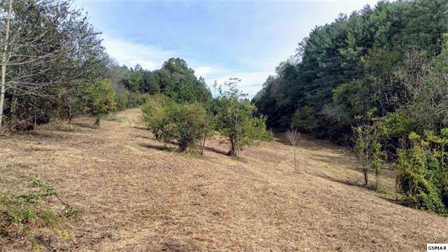 1430-1 Providence Road Sevierville, TN 37876 - Photo 5 of 9 214669-2
