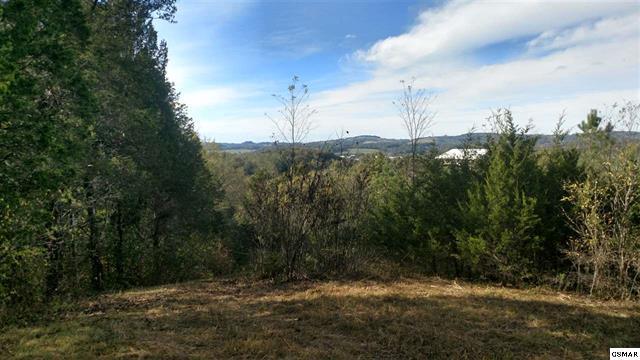 1430-1 Providence Road Sevierville, TN 37876 - Photo 7 of 9 214669-8