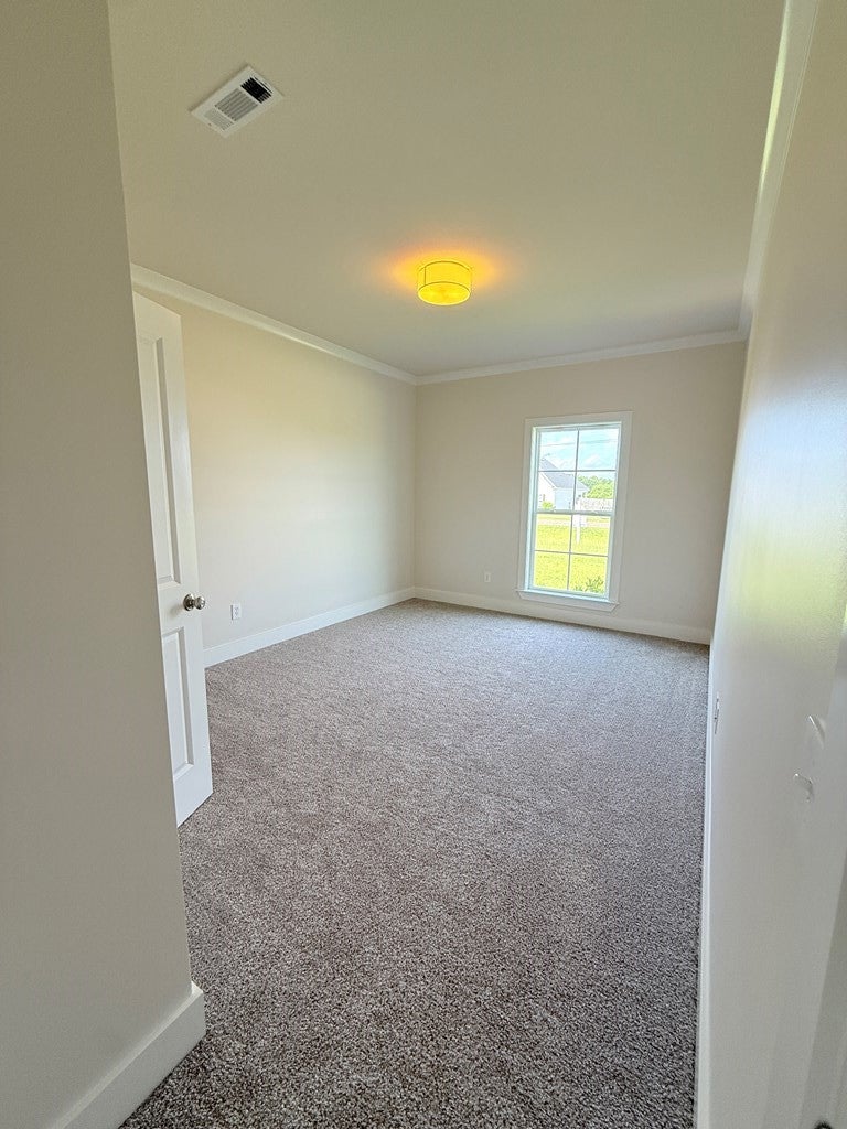 295 Adkinson Road Newton, AL 36352 - Photo 12 of 20 Bedroom 3