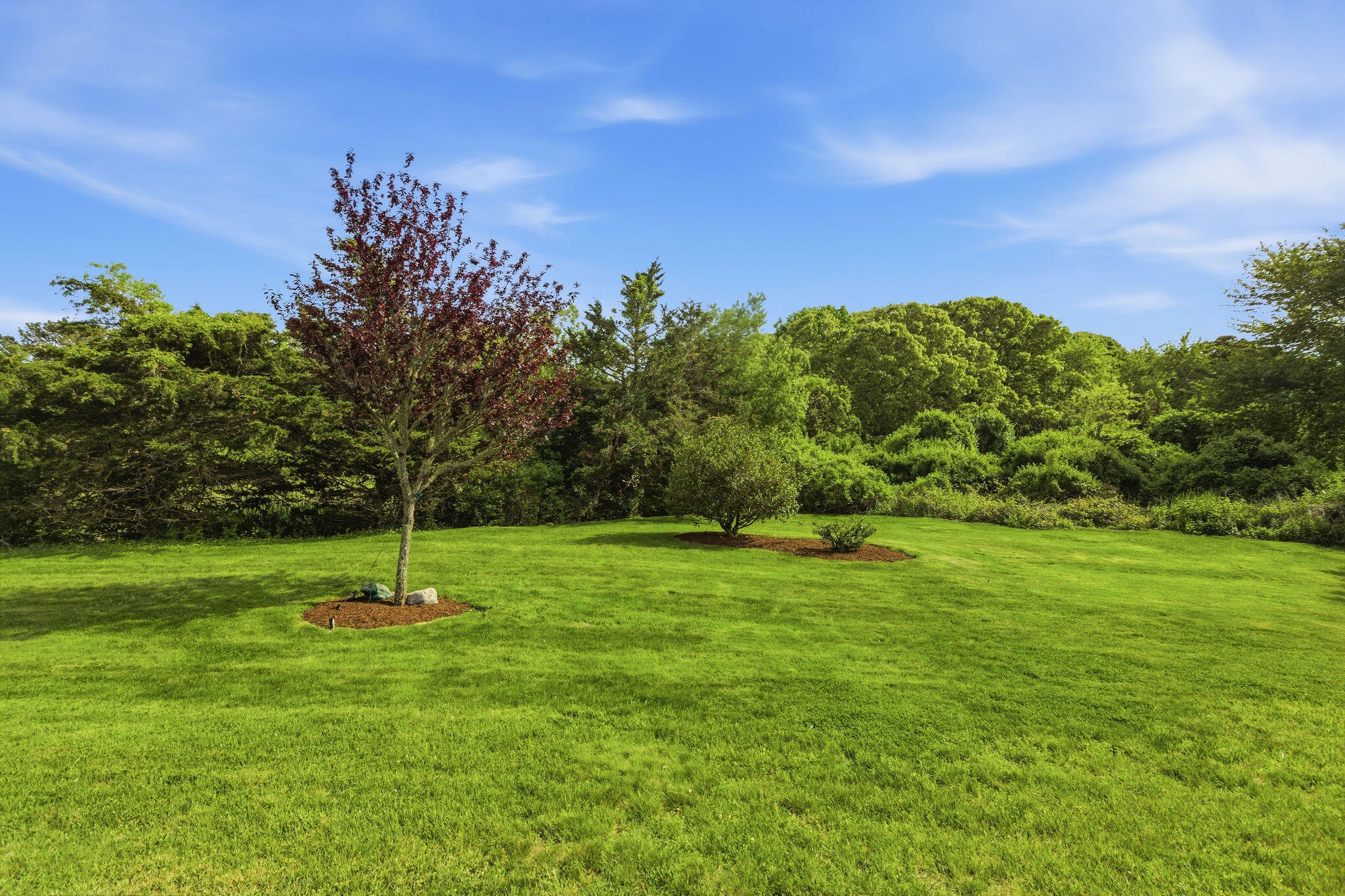 31 Fox Ridge Drive Orleans, MA 02653 - Photo 42 of 46 31FoxRidgeDr-17