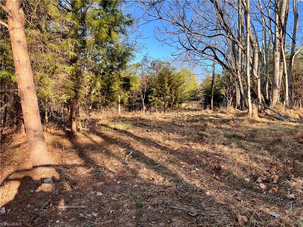 0 Purcell Road Reidsville, NC 27320 - Photo 21 of 44