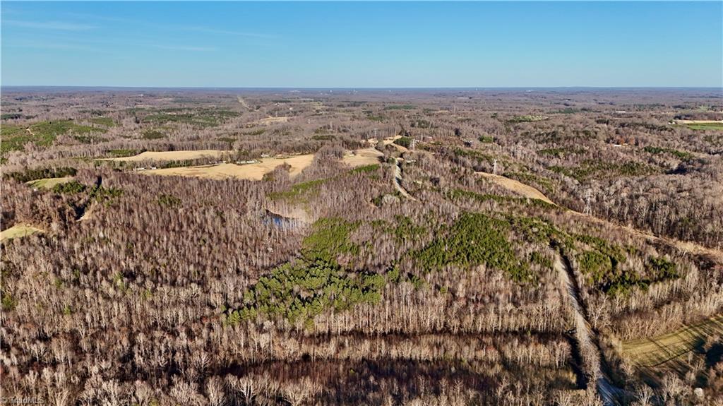 0 Purcell Road Reidsville, NC 27320 - Photo 23 of 44