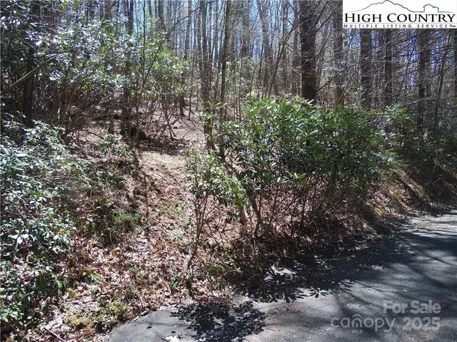 a plant view in yard