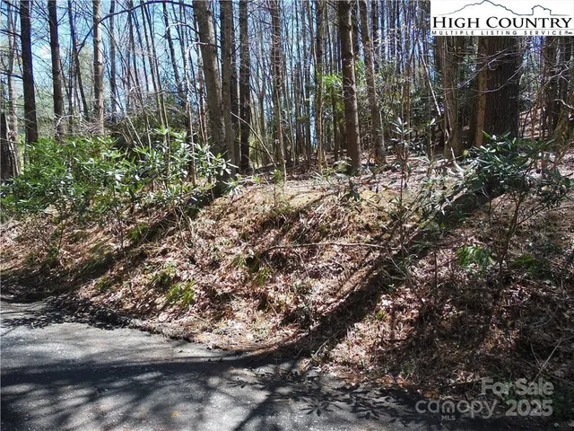 a view of a yard with plants and trees