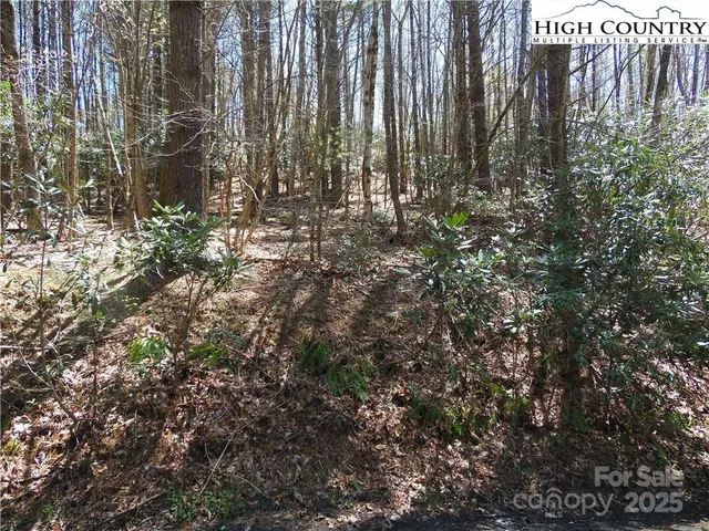 $24,900 | 62 James Street, Unit 62, Fleetwood, NC 28626