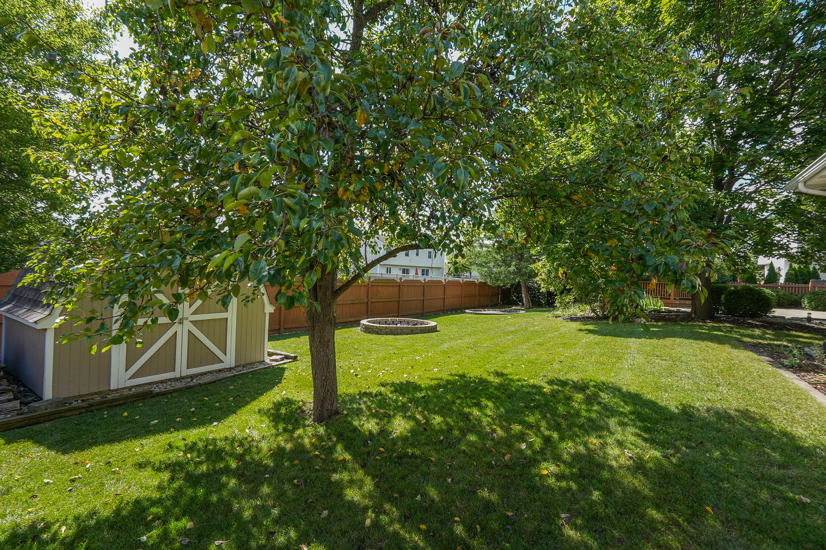 304 Andrea Drive Manhattan, IL 60442 - Photo 15 of 53 a backyard of a house with plants and large trees