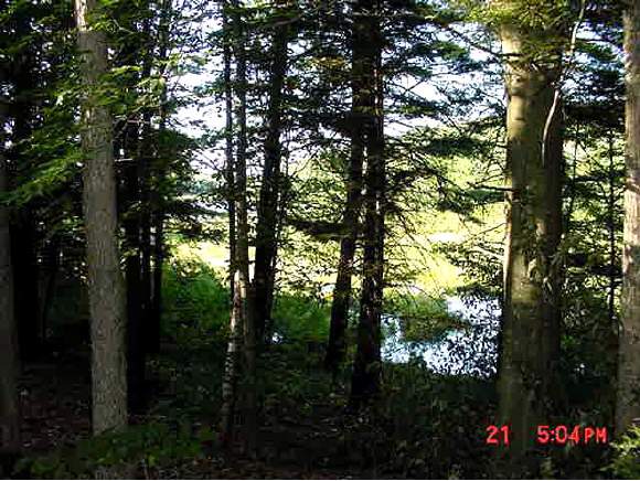 88 1/2 Beard Road New Boston, NH 03070 - Photo 1 of 1 Gallery Image 1