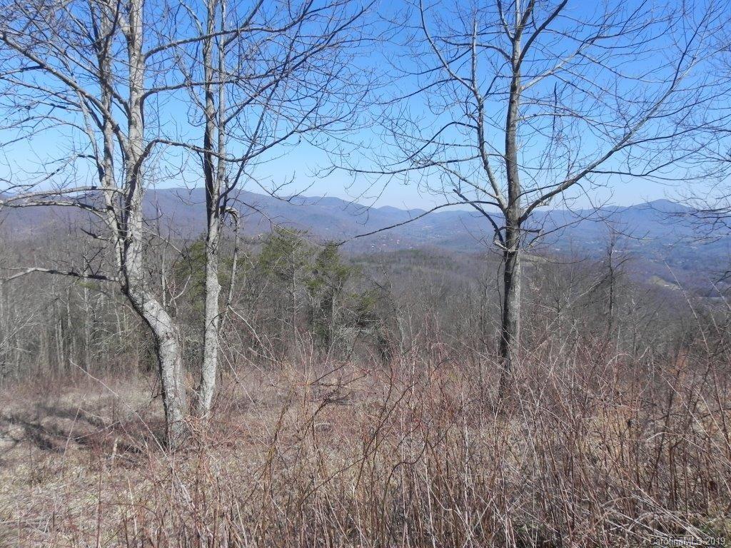 9999 Ebby Ridge Road, Unit 337 Fairview, NC 28730 - Photo 8 of 13 Gallery Image 8