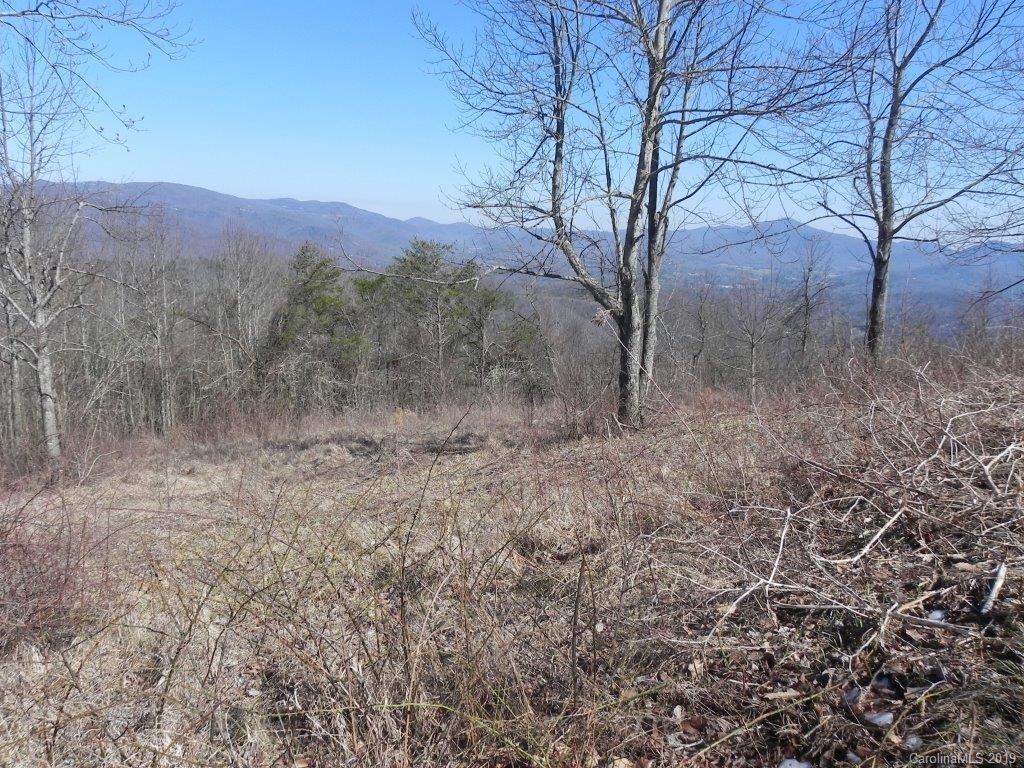 9999 Ebby Ridge Road, Unit 337 Fairview, NC 28730 - Photo 9 of 13 Gallery Image 9