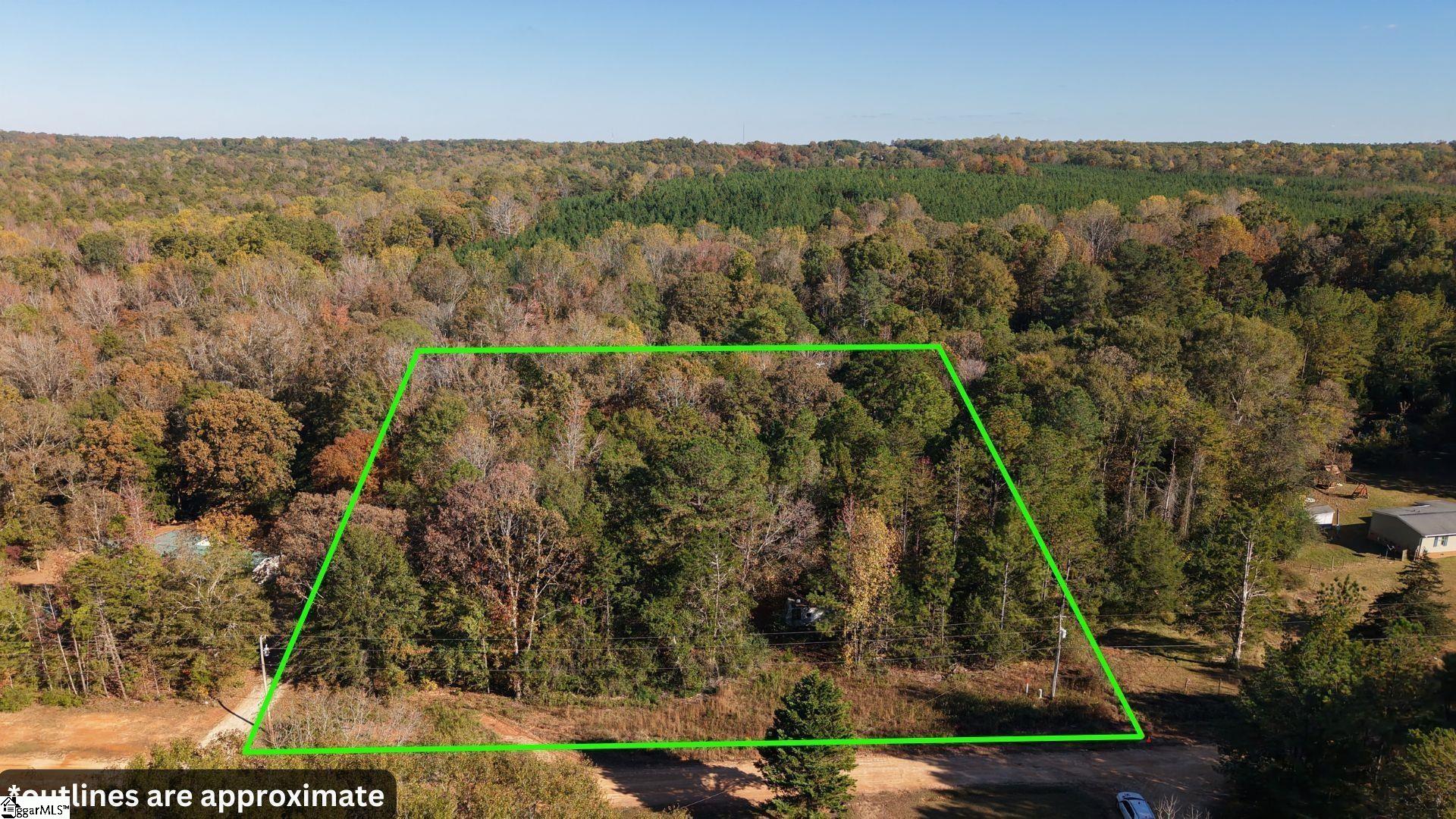 296 Cheeks Circle Gray Court, SC 29645 - Photo 2 of 11