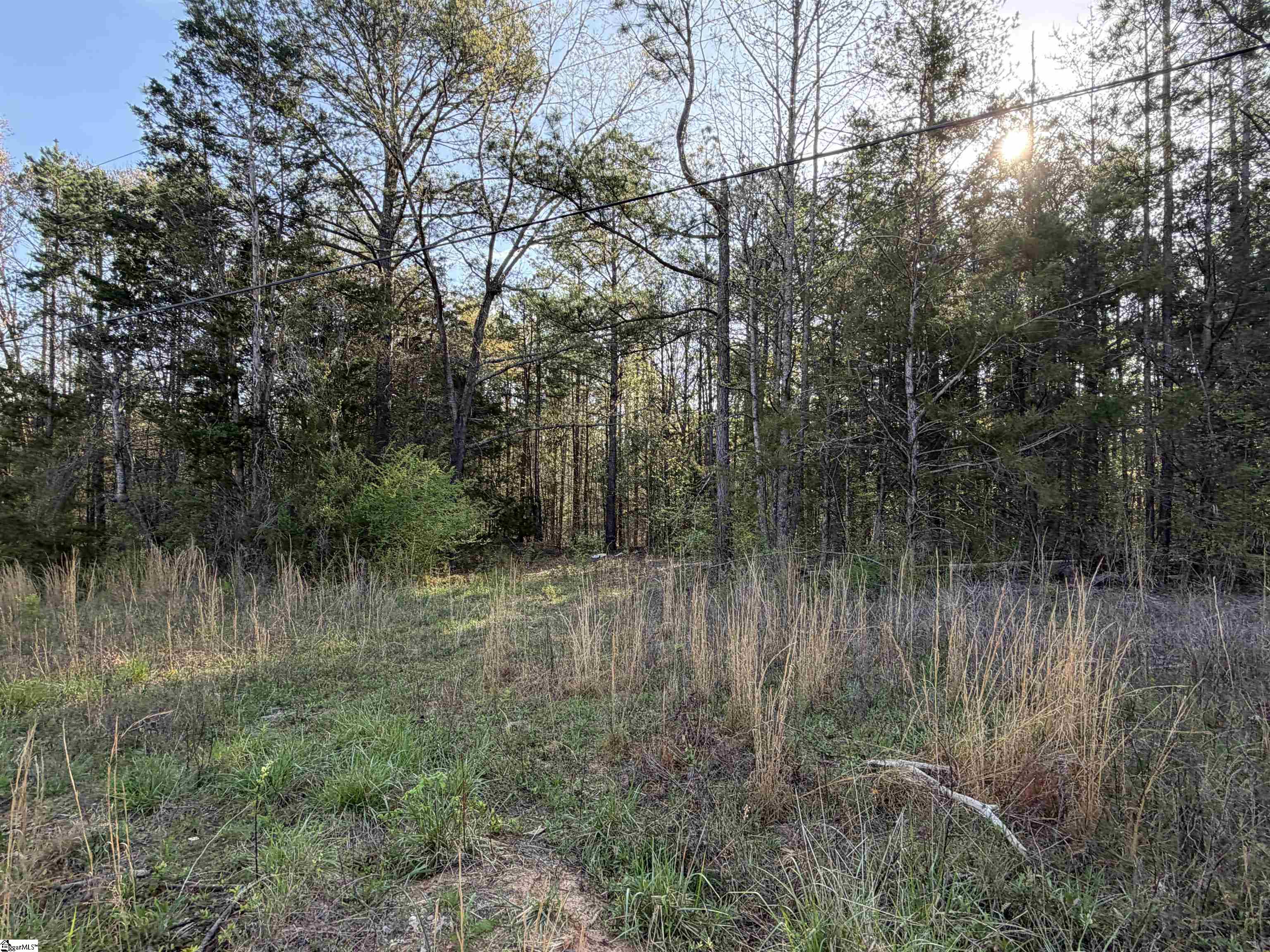 296 Cheeks Circle Gray Court, SC 29645 - Photo 4 of 11