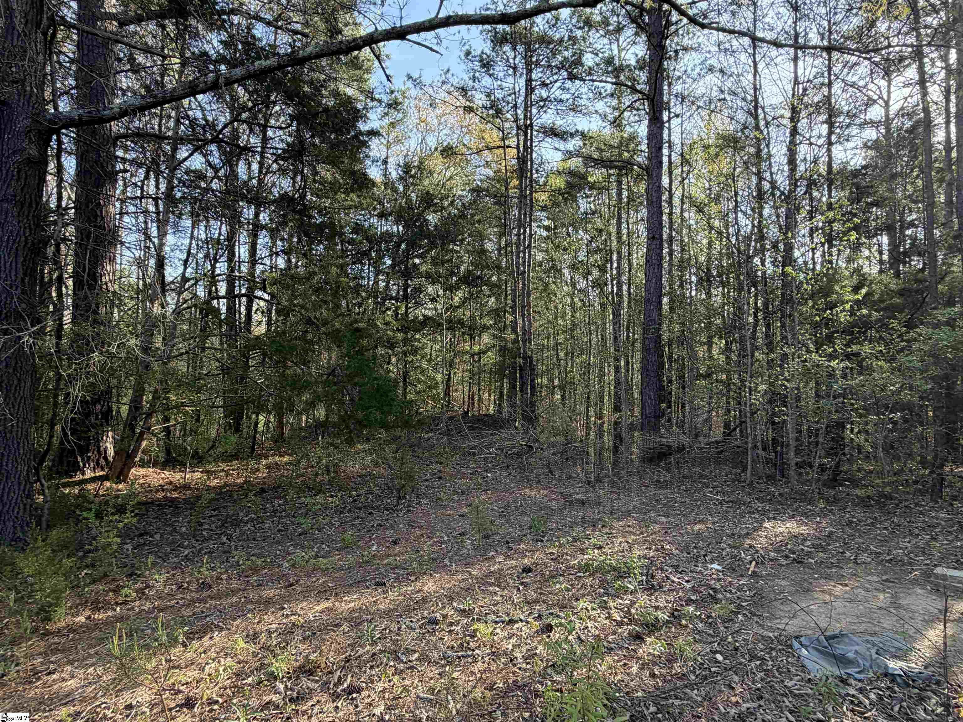 296 Cheeks Circle Gray Court, SC 29645 - Photo 5 of 11