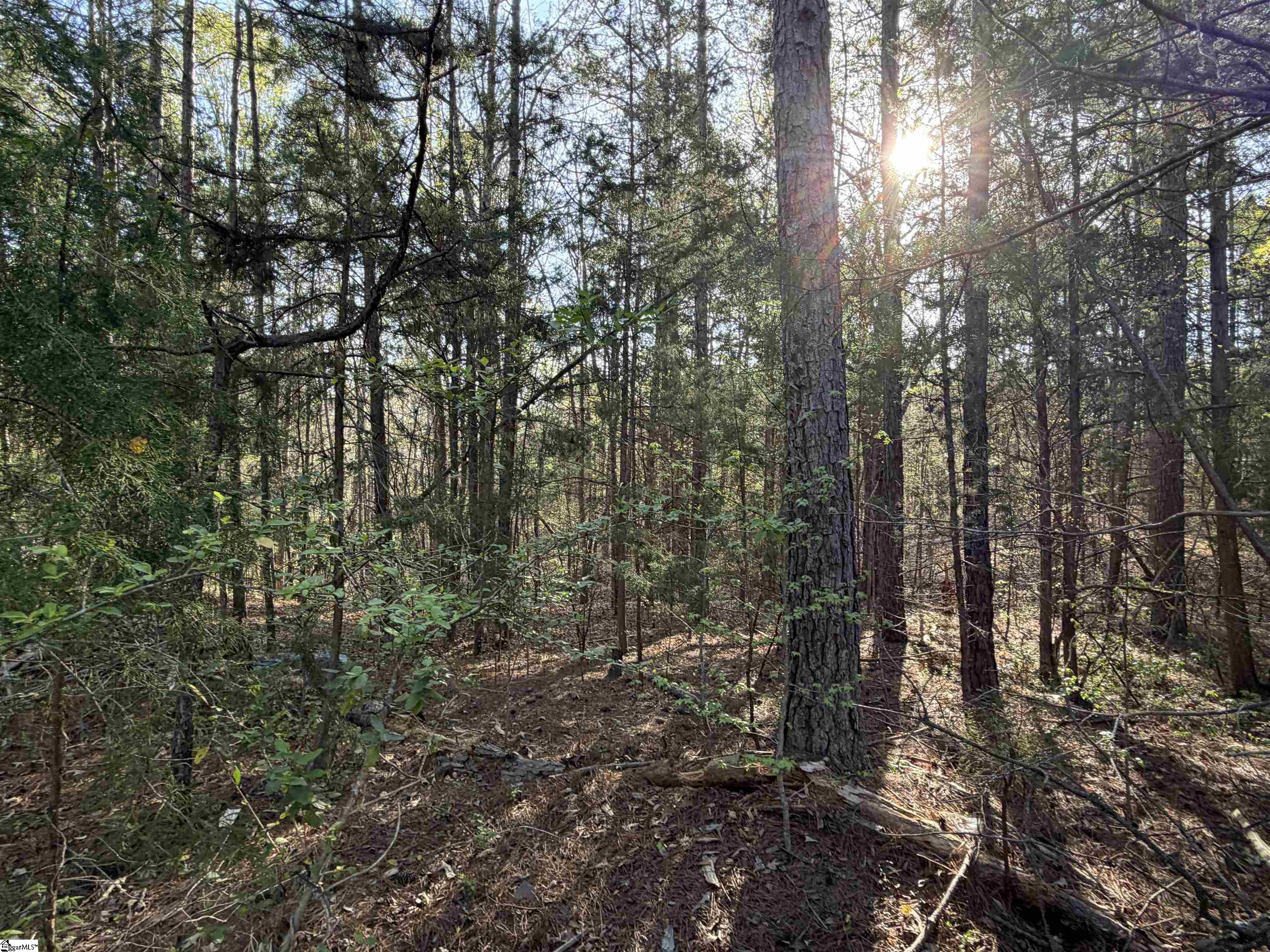 296 Cheeks Circle Gray Court, SC 29645 - Photo 6 of 11