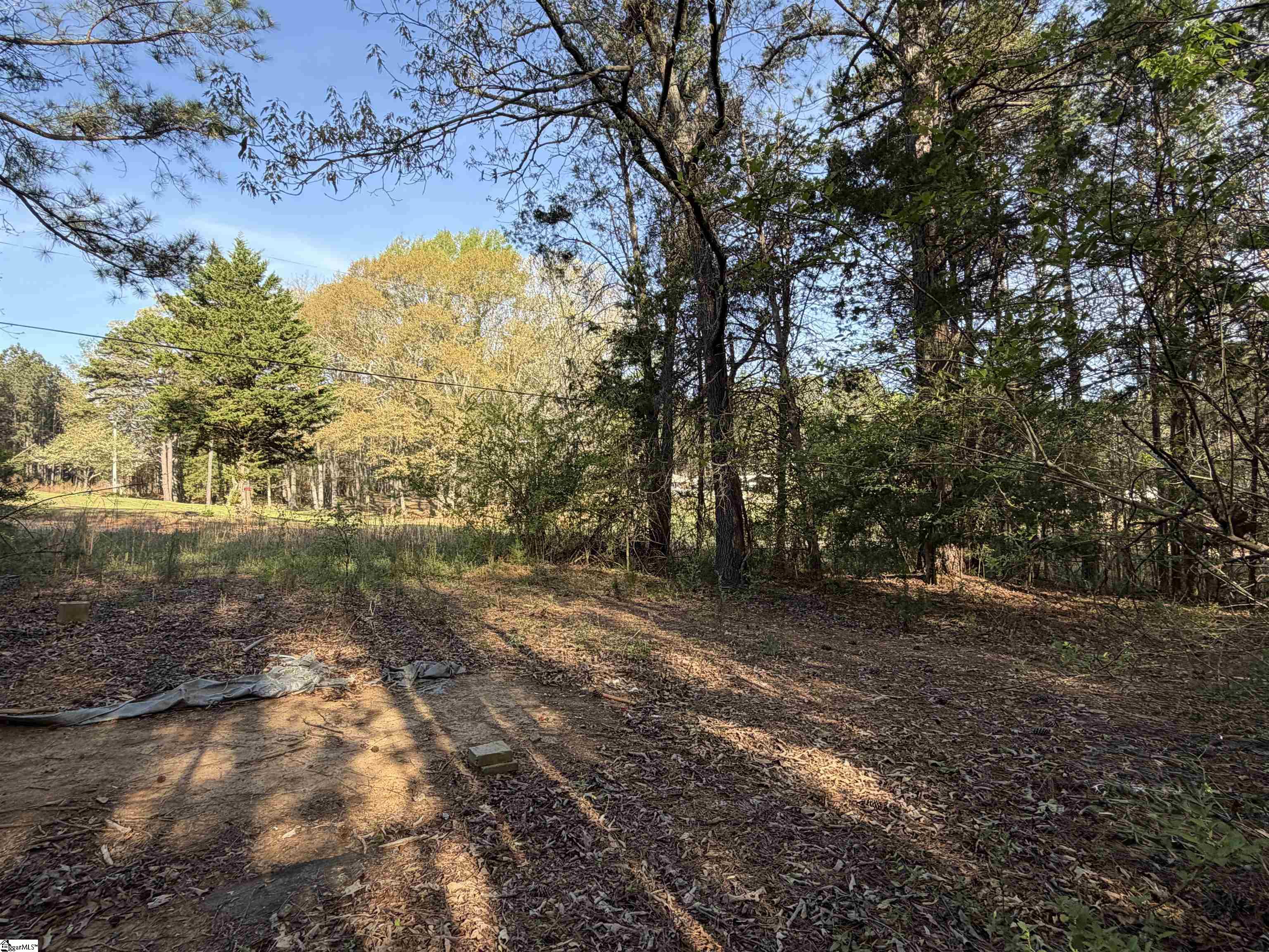 296 Cheeks Circle Gray Court, SC 29645 - Photo 7 of 11
