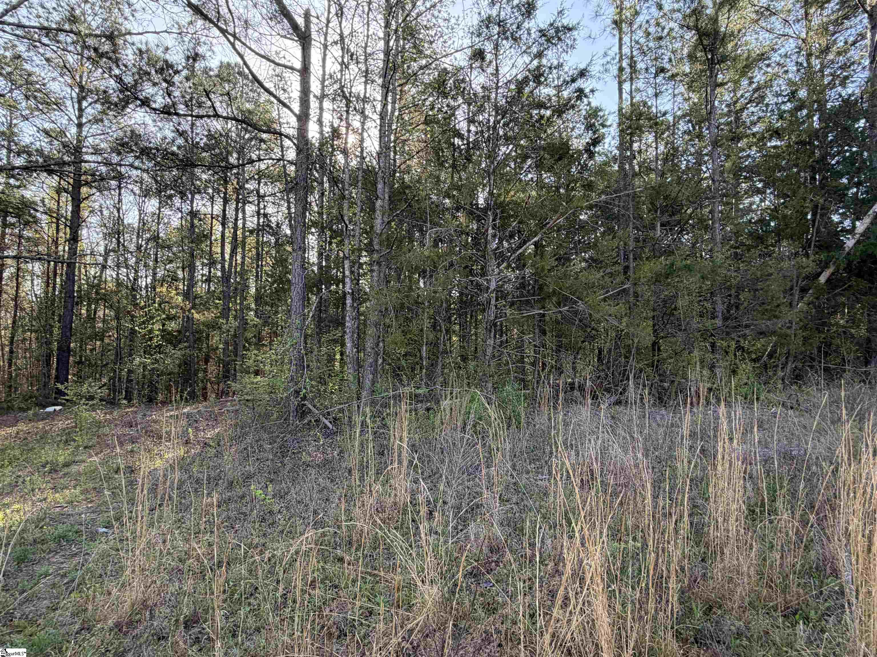 296 Cheeks Circle Gray Court, SC 29645 - Photo 9 of 11