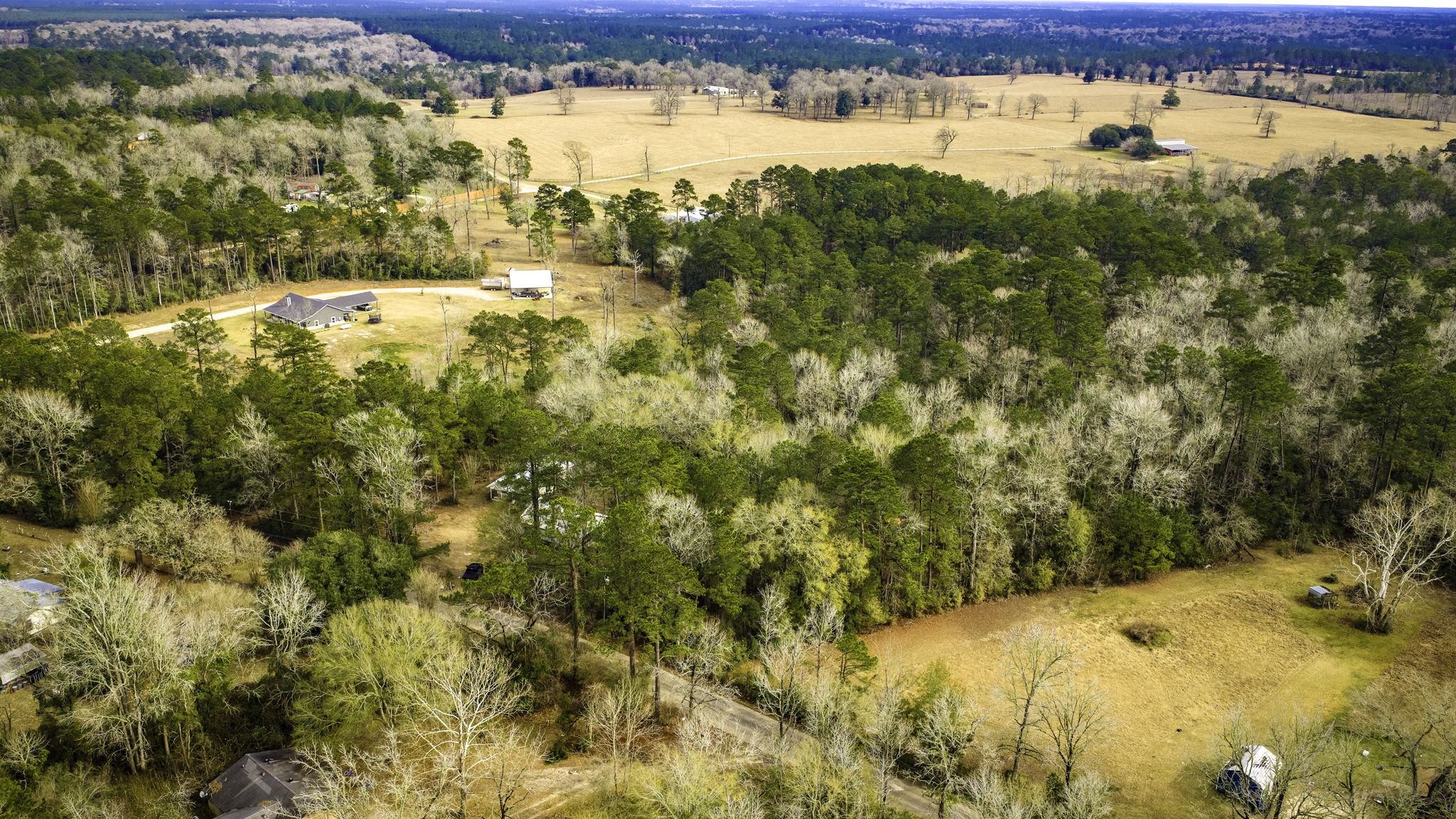 4826 Old Israel Road Livingston, TX 77351 - Photo 13 of 37 a view of ocean