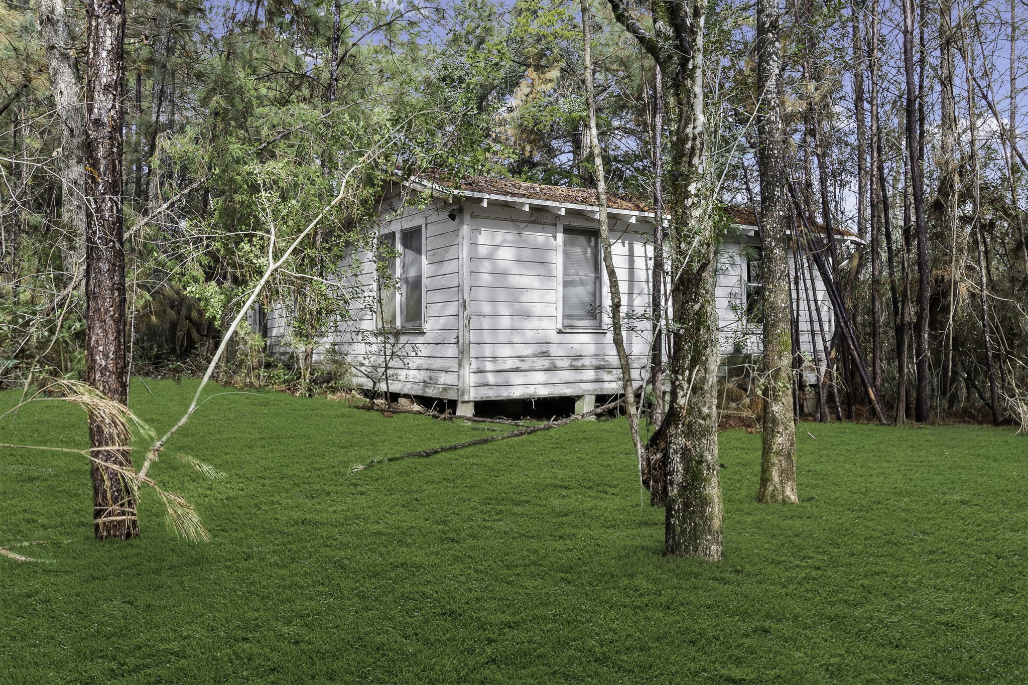 4826 Old Israel Road Livingston, TX 77351 - Photo 17 of 37 a view of a house with a yard