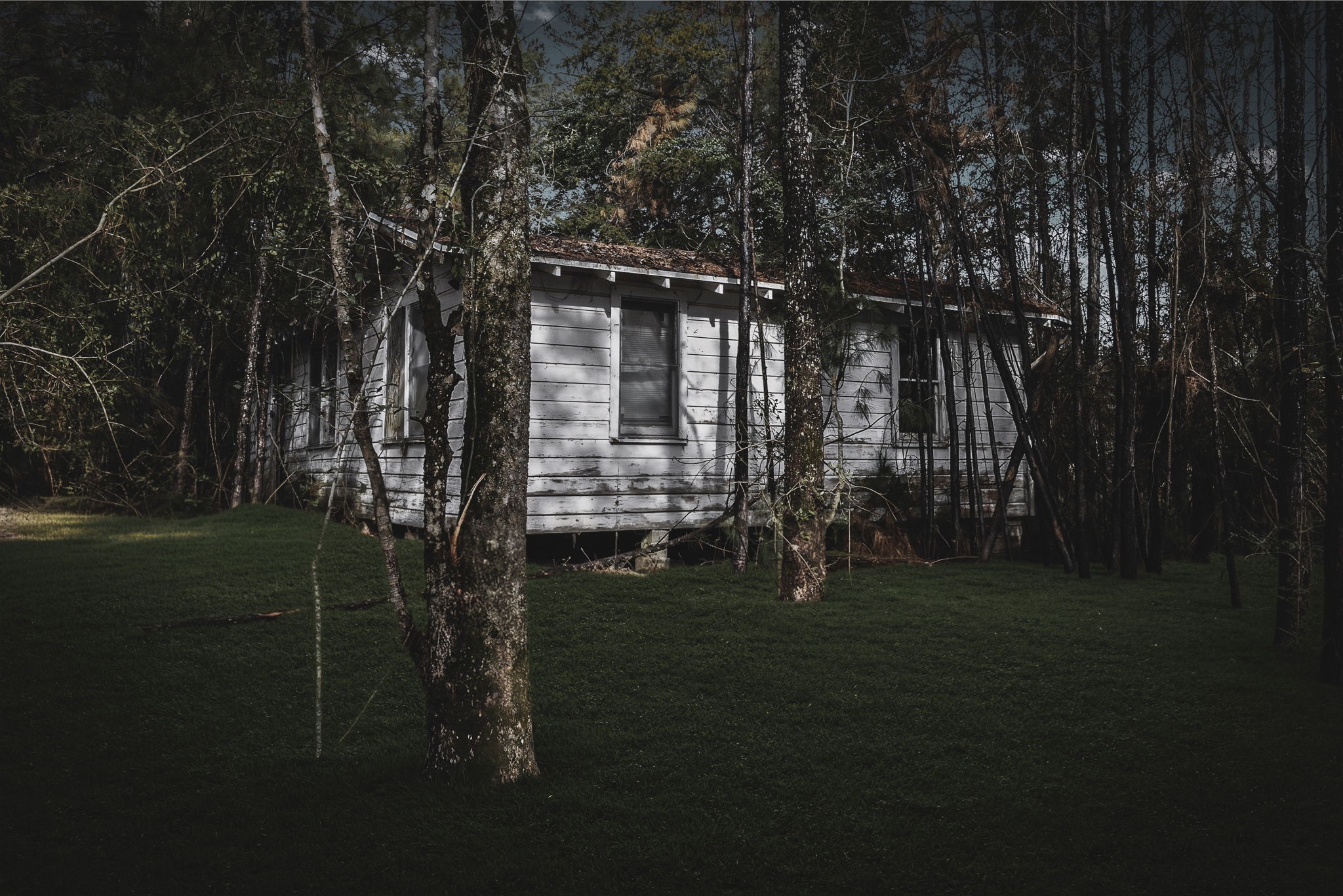 4826 Old Israel Road Livingston, TX 77351 - Photo 28 of 37 a backyard of a house with lots of green space and garden