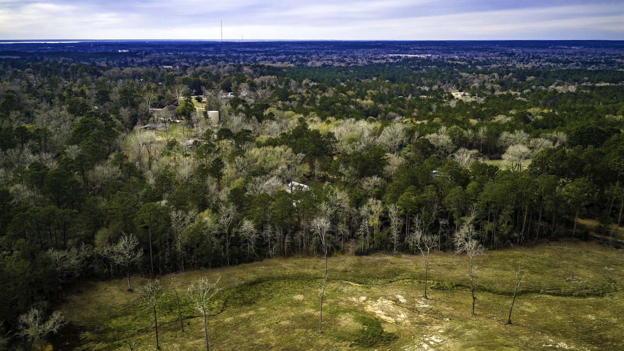 4826 Old Israel Road Livingston, TX 77351 - Photo 5 of 37 a view of a yard with an outdoor space