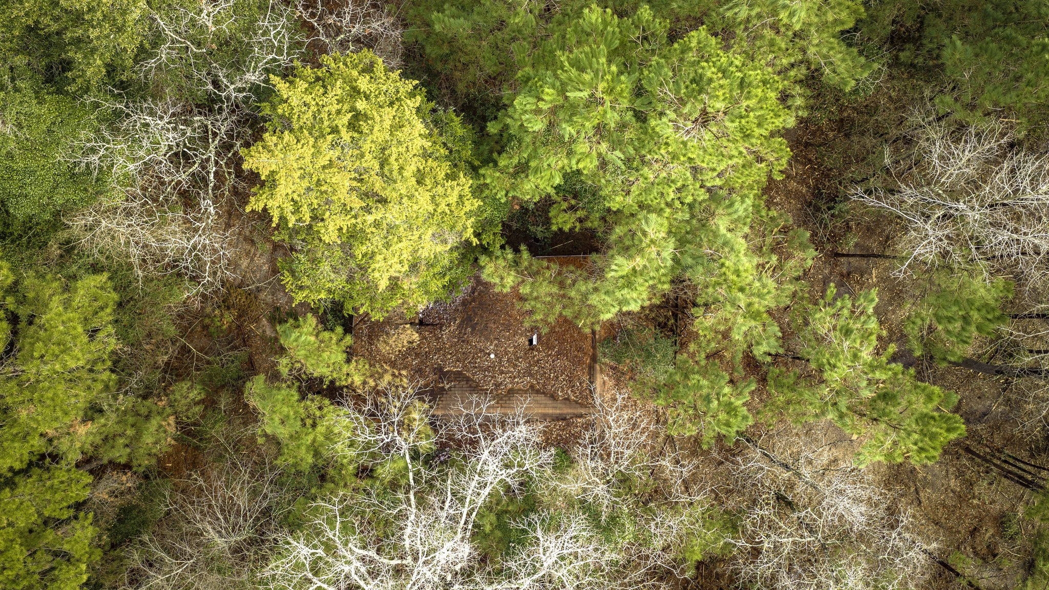 4826 Old Israel Road Livingston, TX 77351 - Photo 10 of 37