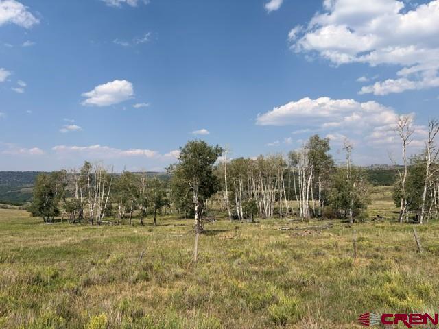 Lot H M44 Road Norwood, CO 81430 - Photo 7 of 22 Gallery Image 7