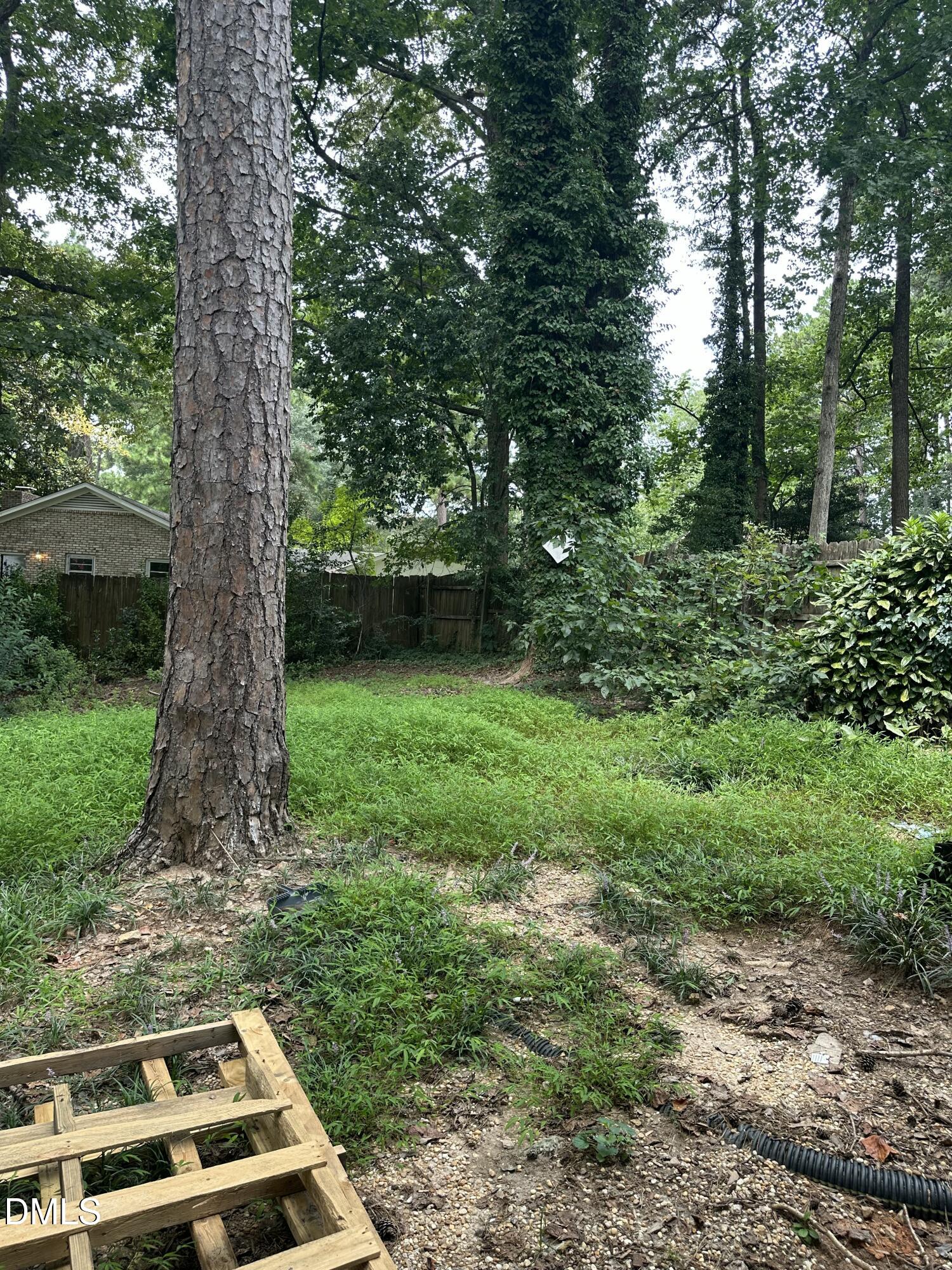 5605 Alpine Drive Raleigh, NC 27609 - Photo 10 of 11 a view of a yard with plants