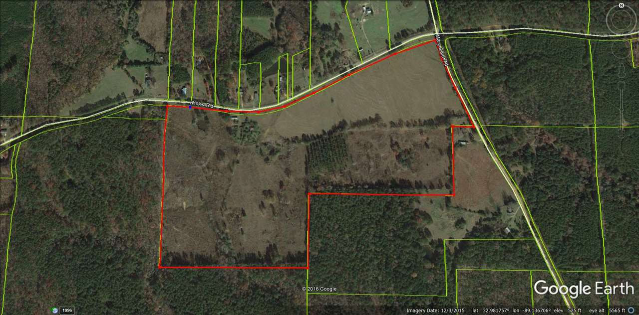 0 Ricks Road Noxapater, MS 39346 - Photo 1 of 19 Photo 1