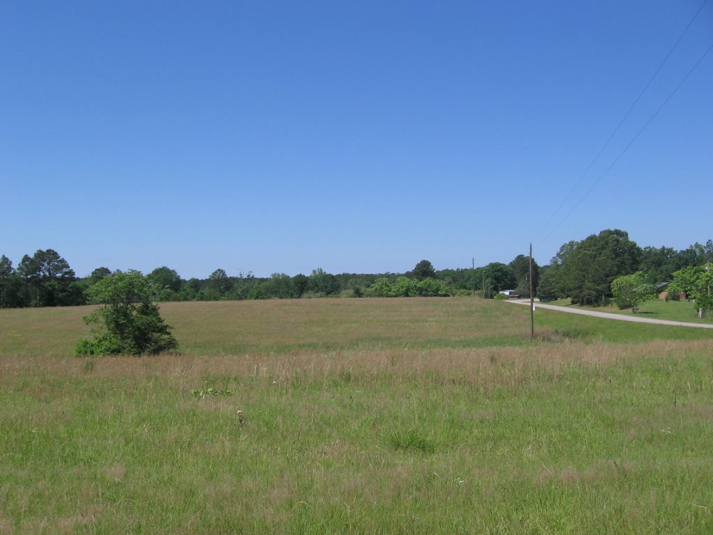 0 Ricks Road Noxapater, MS 39346 - Photo 3 of 19 Photo 3