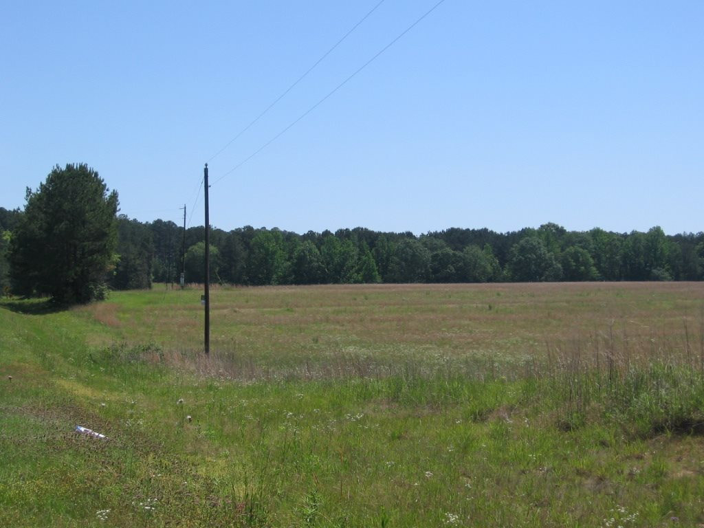 0 Ricks Road Noxapater, MS 39346 - Photo 5 of 19 Photo 5