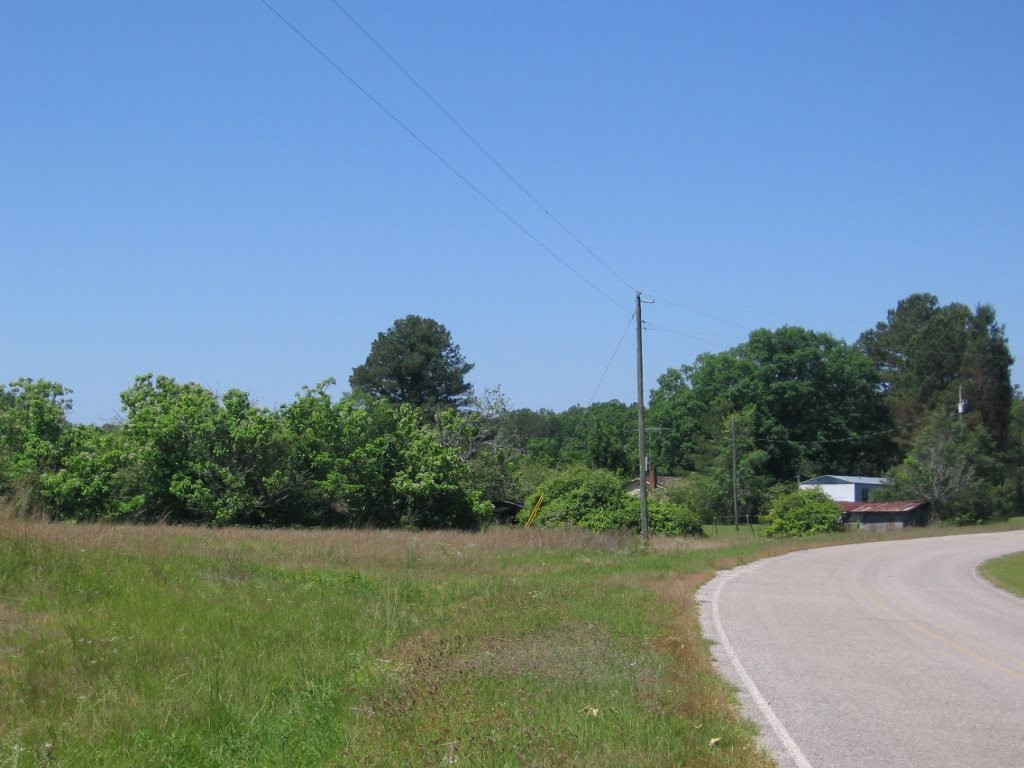 0 Ricks Road Noxapater, MS 39346 - Photo 6 of 19 Photo 6