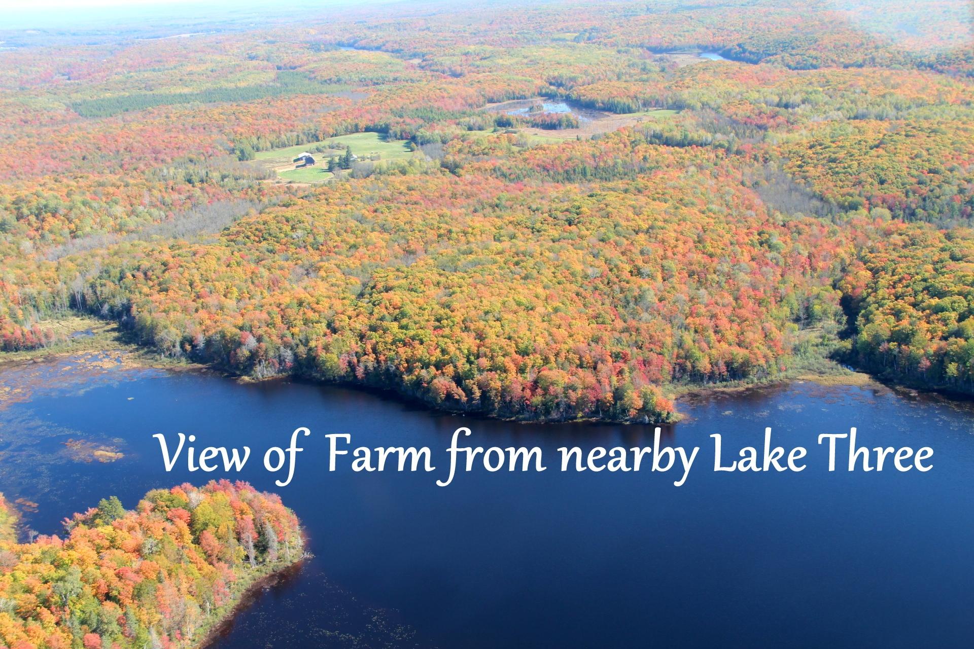 63999 Wolanek Road, Unit 313 ACRES Marengo, WI 54855 - Photo 15 of 93